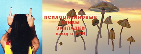 спайс Гусь-Хрустальный