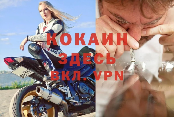 спайс Гусь-Хрустальный