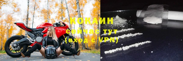 спайс Гусь-Хрустальный